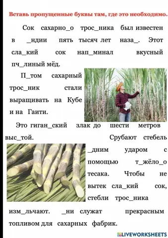 Проверяемые в корне слова буквы