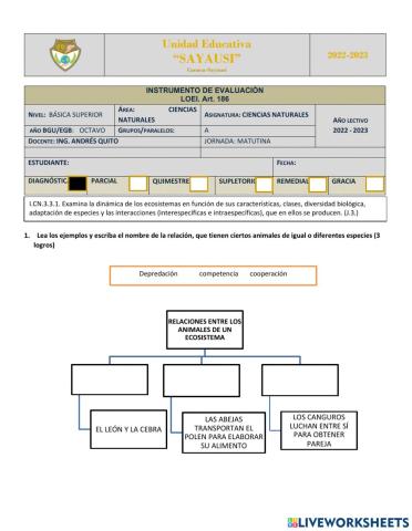 Diagnóstico Ciencias Naturales 8