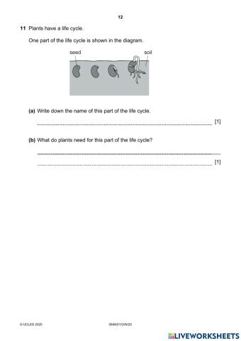 Science test paper