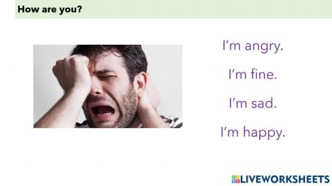 L3 - A21 - Feelings, How are you, Reading