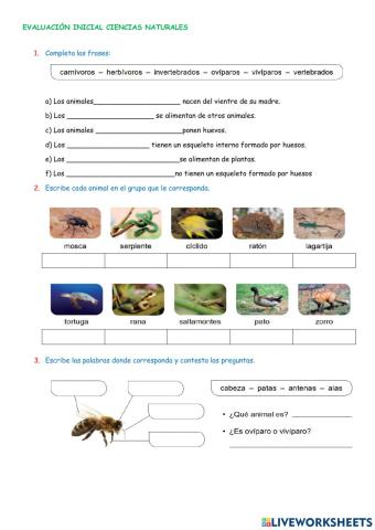 Naturales-evaluación inicial 3º