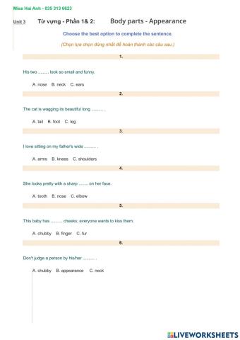 Ôn tập từ vựng Unit 3-English 6