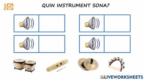 01 Quin instrument sona?