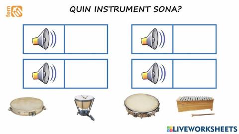 02 quin instrument sona?