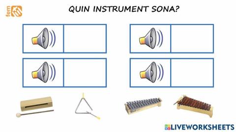 03 quin instrument sona?