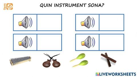 04 quin instrument sona?