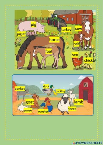 Farm animals