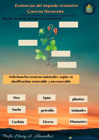 Evaluación Ciencias Naturales