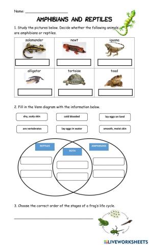 Vertebrates