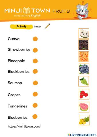 Fruits activity