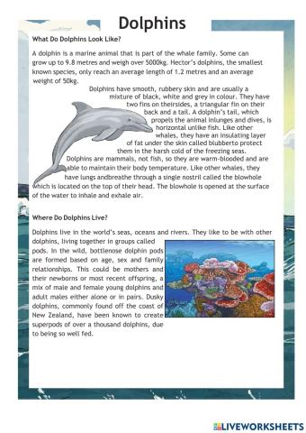 Reading Comprehension