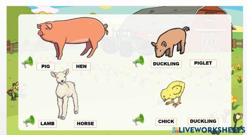 Farm animals