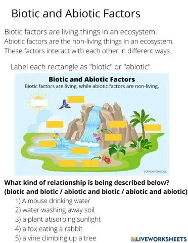Biotic and Abiotic Factors