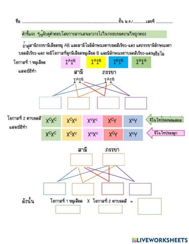 การถ่ายทอดลักษณะทางพันธุกรรม