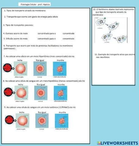 Fisiologia da Membrana Celular