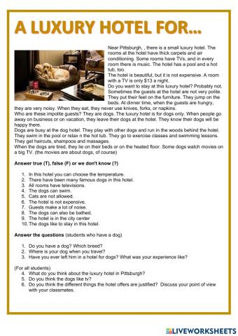 Dog hotel reading comprehension