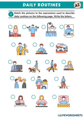 Daily Routine