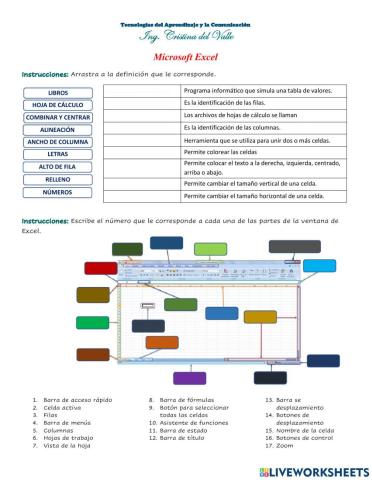 Microsoft Excel