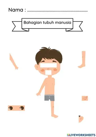 Bahagian Tubuh Manusia