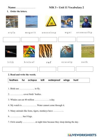 Vocabulary 2 unit 11