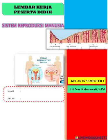 Live worksheet sistem reproduksi manusia