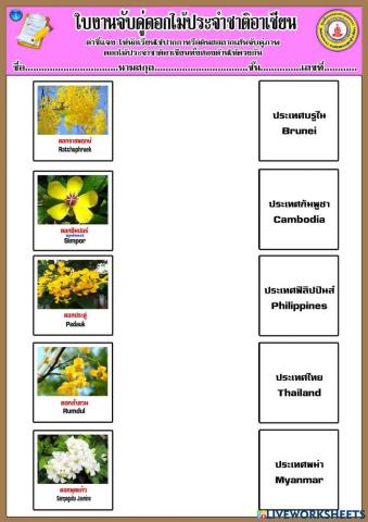 ดอกไม้ประจำชาติอาเซียน-01