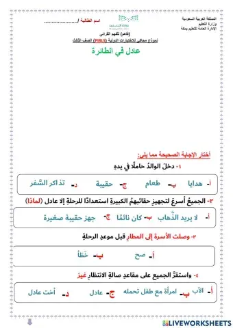 عادل في الطائرة