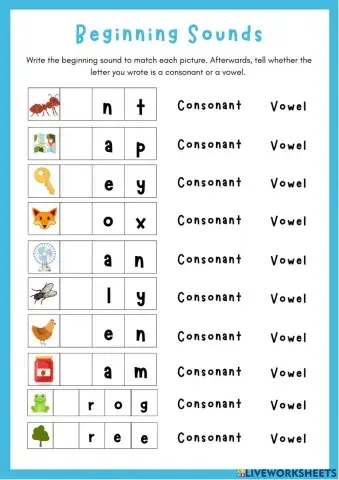Consonants and Vowels