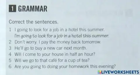 Will, won't, shall-Present continuous and Going to