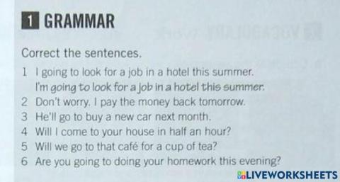 Will, won't, shall-Present continuous and Going to