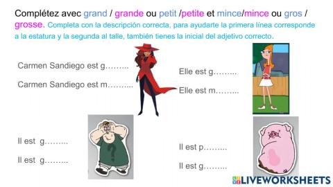 La description physique 1