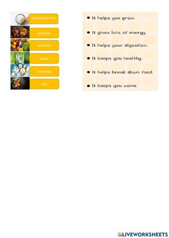 Function of six nutrients