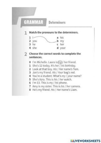 Possesive pronouns. to be Present Simple