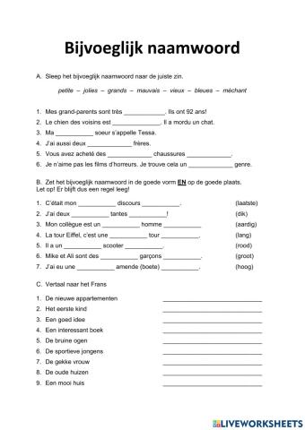 Bijvoeglijk naamwoord