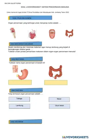 Sistem Pencernaan Manusia