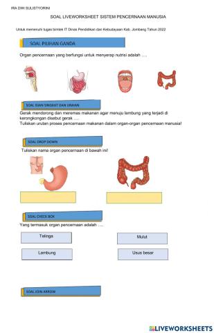Sistem Pencernaan Manusia