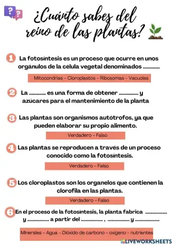 El reino de las plantas