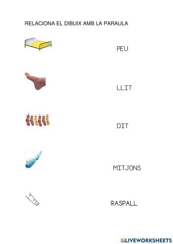 Relaciona el dibuix amb la paraula