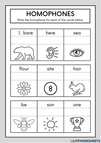 Homophone worksheet