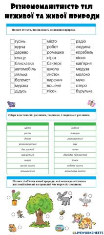 Різноманітність тіл неживої та живої природи