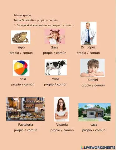 Nombre propio y común