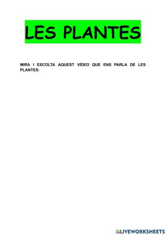 Les plantes.