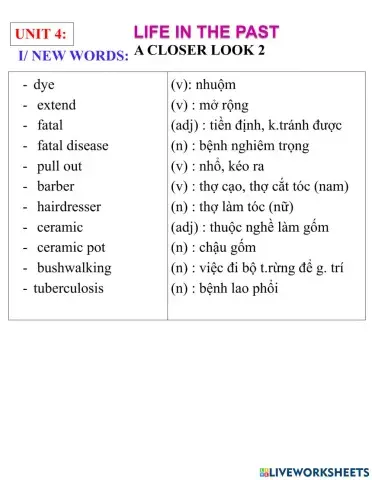 English 9- unit 4- a closer look 2