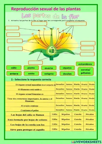 Reproducción sexual de las plantas