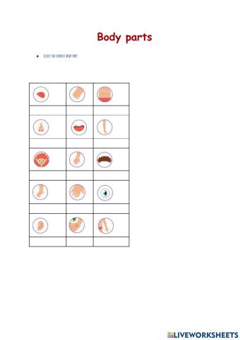 Body parts