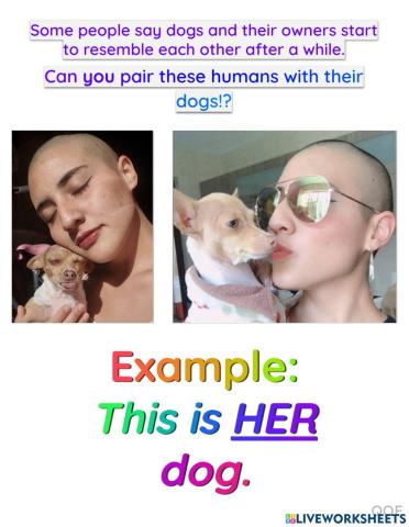 Possessive adjectives