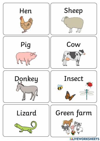 Farm Animals