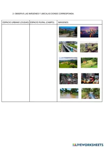 Espacio urbano y rural