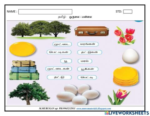 தமிழ் - இலக்கணம்