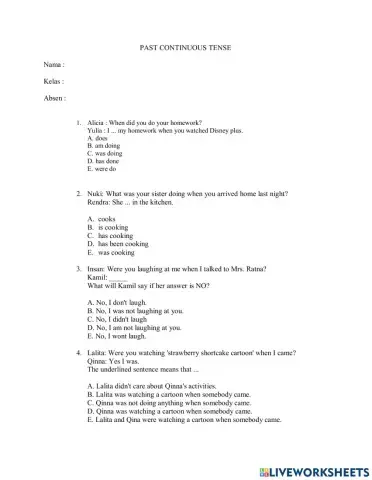 Past Continuous Tense